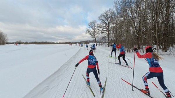 IT ski RACE 2026