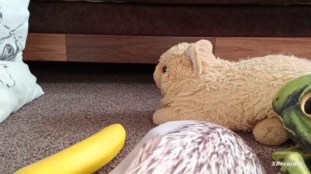 Приключения Хренобуса Сезон 1 Серия 5 НОВЫЙ ГОД!!!!! смотреть онлайн