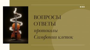 ВОПРОС - ОТВЕТ