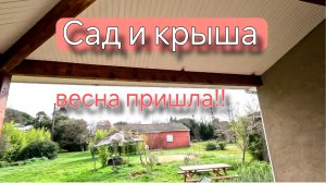 Обзор сада в феврале. Снимаю мою крышу