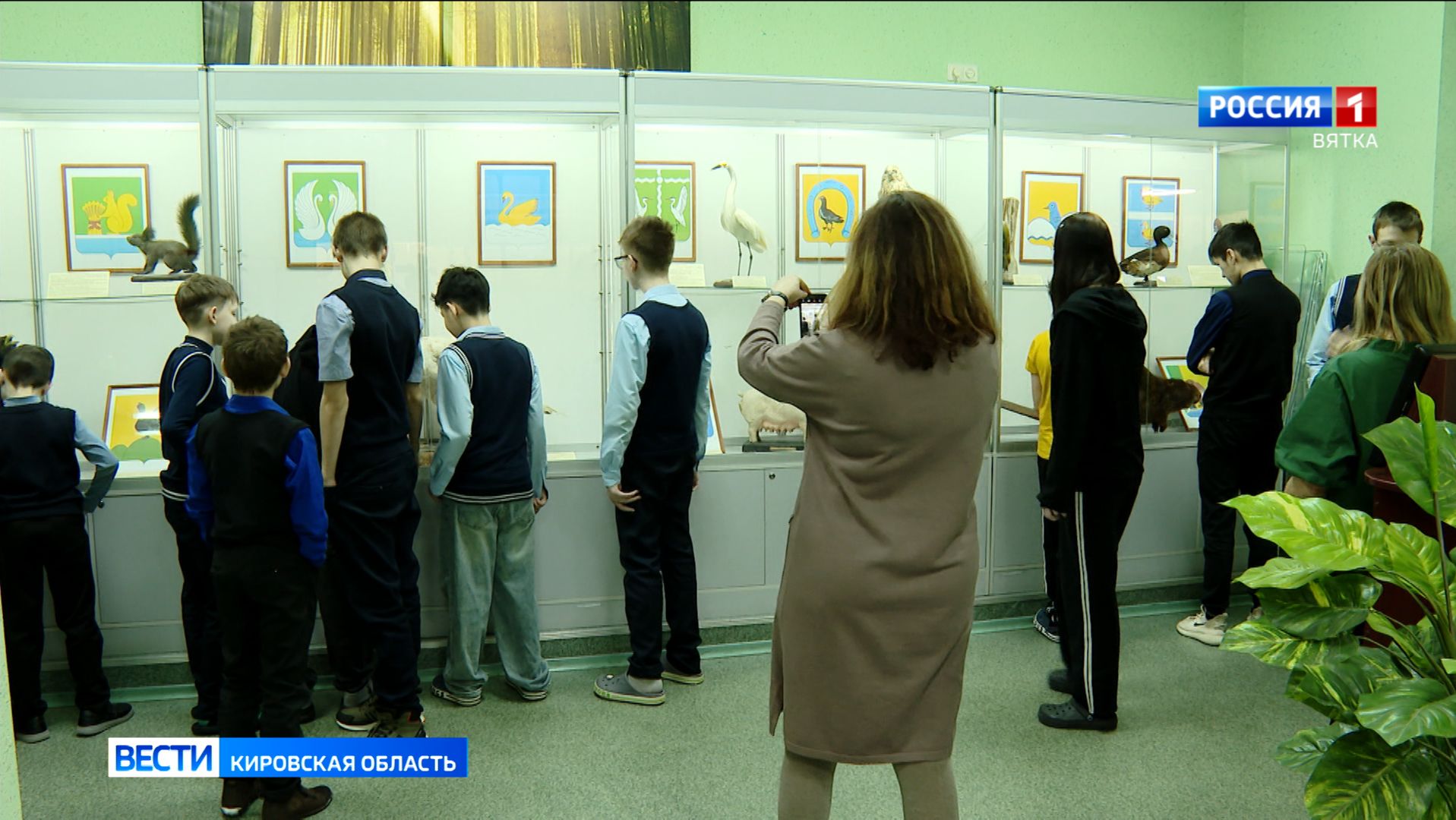 В зоологическом музее Кирова открылась выставка о гербах районов Кировской области смотреть онлайн