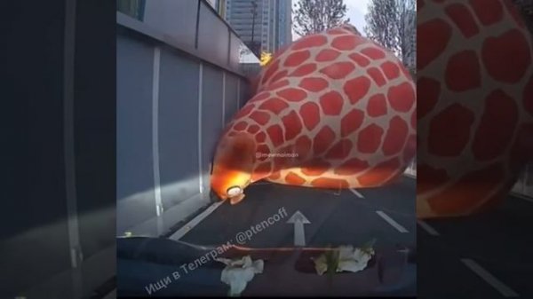 546cb437-90e6-4a09-90a2-0052c9635a36