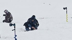 VID_20260221_110709_195