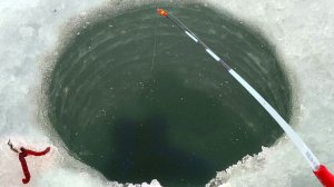 ЗАКИНУЛ УДОЧКУ ПОД ПЕНЬ...КИВОК В ДУГУ! Стена РЫБЫ прёт, клюёт! Зимняя рыбалка 2026