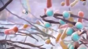 Микрофлора ротовой полости