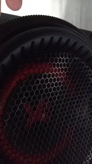 Слава зайди