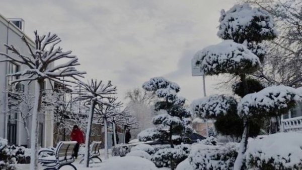 Зимний Таганрог