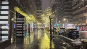 Пешеходная экскурсия по снежному Нью-Йорку в ночное время