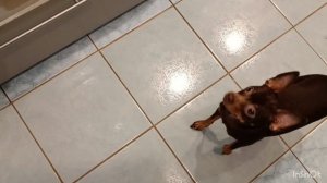 Пора готовиться к весне