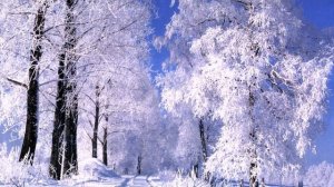 Ф.Шопен- Вальс До Минор N7 - Зима