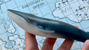 Обзор фигурки Синий кит