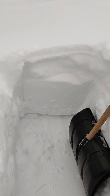 ТРОПИНКА К БЕСЕДКЕ. 21.02.26. смотреть онлайн