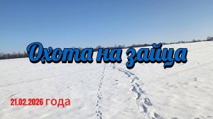 Охота на зайца.