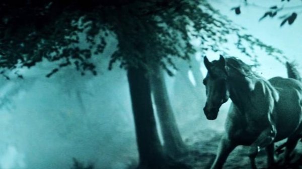 Narvent - Reboot (Music Video)