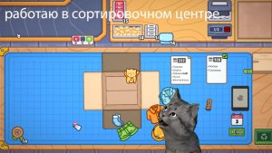 когда я работал котик по имени лимончик он стал играть с коробкой РАБОТАЮ В СОРТИРОВОЧНОМ ЦЕНТРЕ