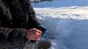 Жерлицы проверка. 13 день.