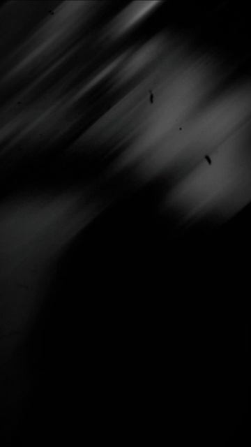 Не извлёк урок 27.02.2026