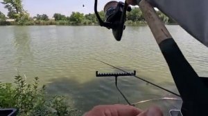 Рыбалка на карася и поиски диких мест, тут рыбы много и и хороший клёв