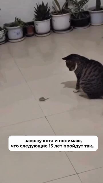 Обожаю этого пушистого ❤️ Обожаю этого пушистого ❤️