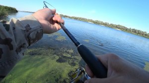 КЛЮНУЛА ТРОФЕЙНАЯ ЩУКА