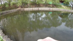 Тонущий Бент 106 и другие