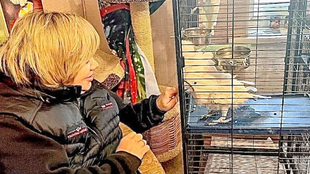 Этого НЕ ОЖИДАЛ НИКТО! Теперь мы знаем с Оксаной Олеговной почему Жора ТЕРЯЕТ ПЕРЬЯ))) смотреть онлайн