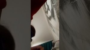 А-А-А-А-А ЗА ЧТО