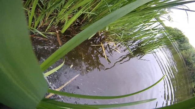 Щука на джиг в конце мая. смотреть онлайн