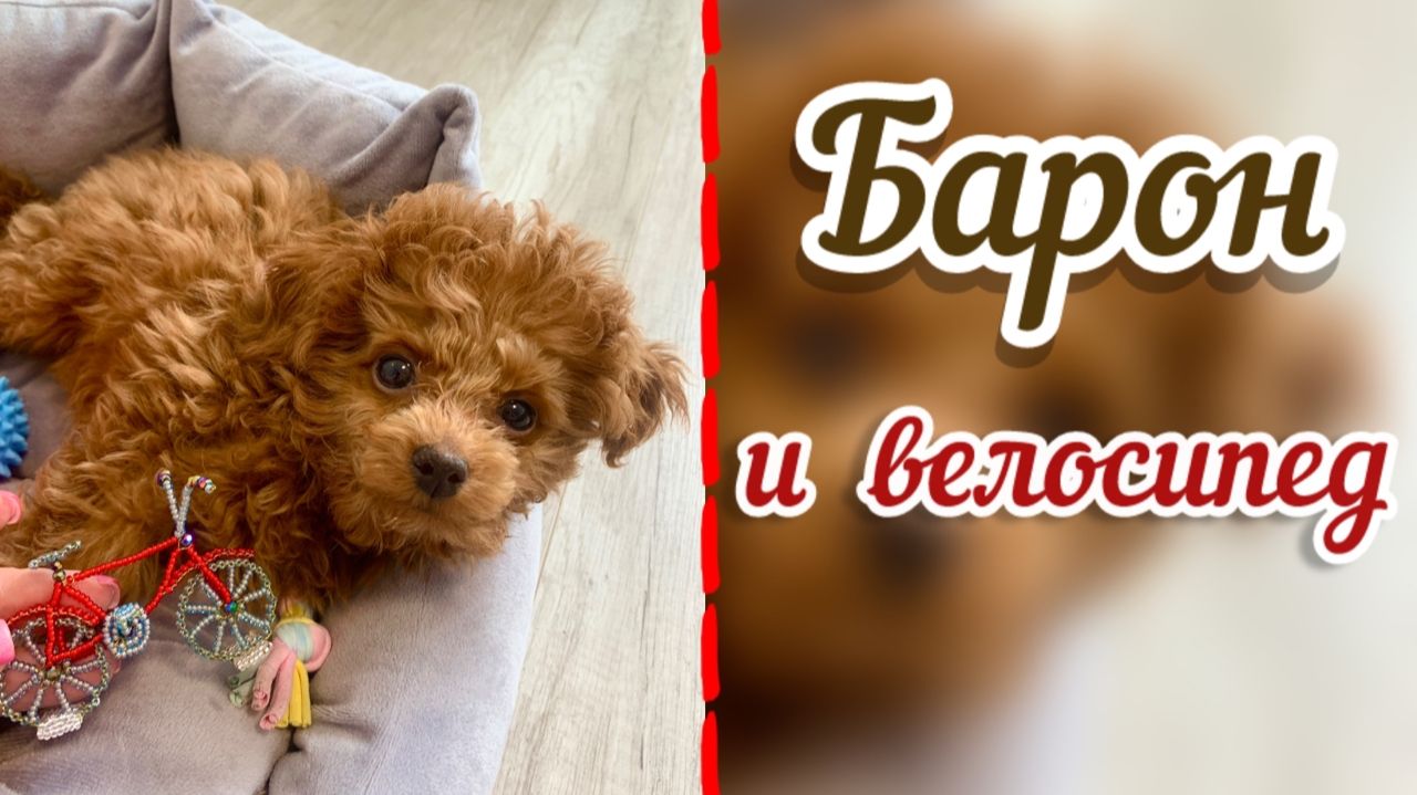 Барон и велосипед / Велосипед из бисера / Обзор фигурок из бисера / Бисероплетение / смотреть онлайн