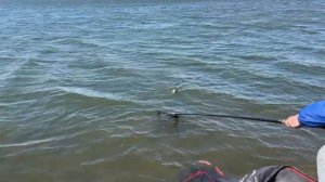 Тренировка перед соревнованиями «Кубок Ростовской области»Попловочная ловля 🎣