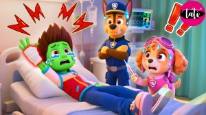 Щенячий патруль и Маршалл. Залипательное видео. Мультфильм для детей и малышей. Анимация 270