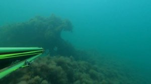 Подводная охота в Черном море. Бухта Инал.