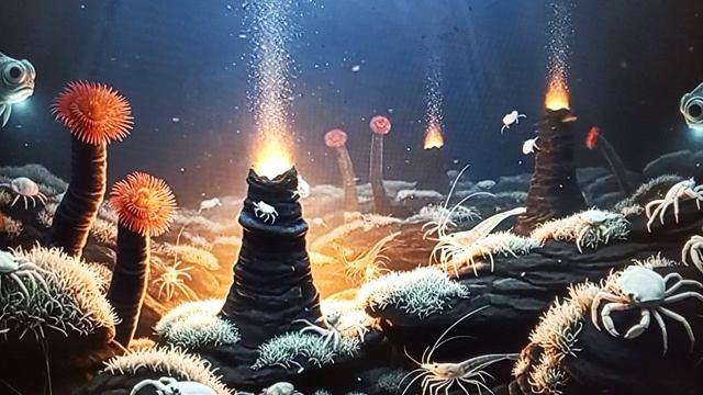 Незабудка домашняя - разбор, квартирный вопрос смотреть онлайн