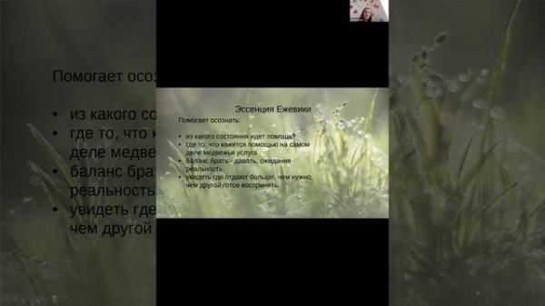 21.02.2026. Проект КвинтЭССЕНЦИЯ. Встреча 10. Ежевика