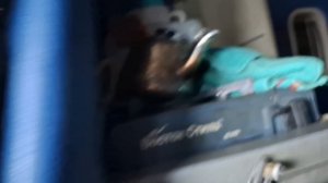 Freightliner Columbia Mid Roof по низу рынка