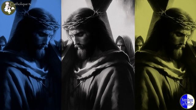 NDLP - 40 Days And 40 Nights