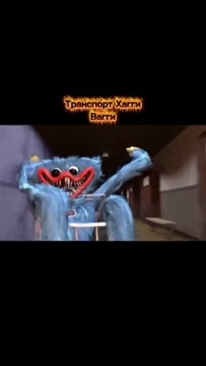 Транспорт Хагги Вагги