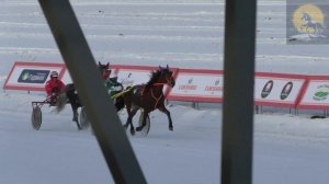 Сибирская Масленица Бега 7 2026.mp4