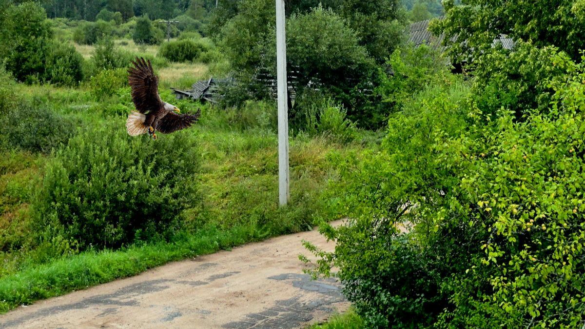 На велосипеде ( из архива )