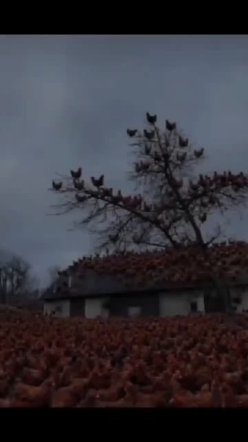 910 смотреть онлайн