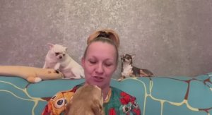 На Дзене становится все сложнее, Милости просим на Рутуб.