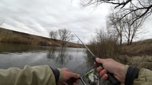 ОПУСТИЛ ПРИМАНКУ ЩУКЕ ПОД НОС, И ОНА СХВАТИЛА