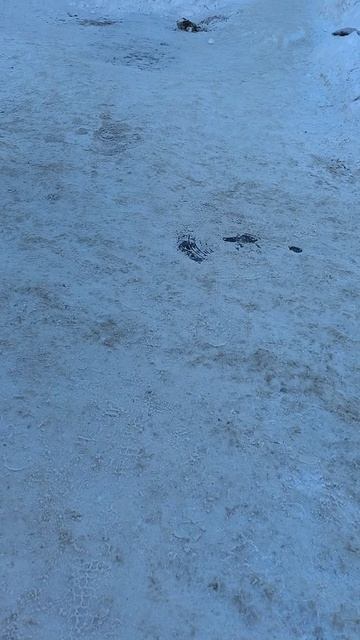 №1528 ул. Красноармейская 1-я. 19 февраля 2026 г., 16:29:41 VID_20260219_162644166