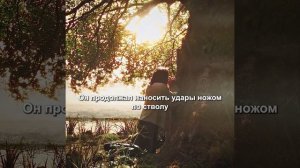 Хороший фильм на вечер !