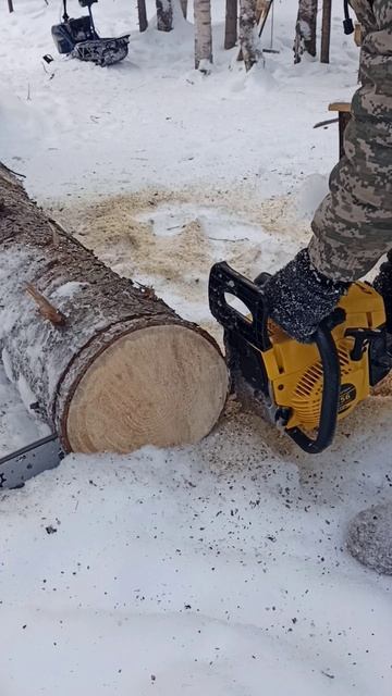 тест бензопилы champion 256 смотреть онлайн