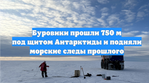 Буровики прошли 750 м под щитом Антарктиды и подняли морские следы прошлого