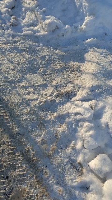 №1532 ул. Газеты Звезда. 19 февраля 2026 г., 16:37:02 VID_20260219_163641854