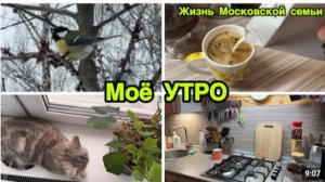 2269 ПРОВОДИЛА ДАНЮ\МОЁ УТРО\ПТИЦЫ ПРИЛЕТЕЛИ к КОРМУШКЕ влог