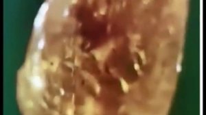 ВИА Цвайзгните.1967.Игрушка.