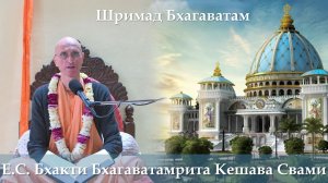 22.02.2026 || Шримад Бхагаватам 11.6.12 || Е.С. Бхакти Бхагаватамрита Кешава Свами
